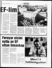 Síða 19