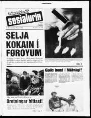 Síða 1