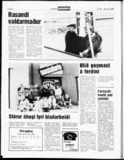 Síða 6