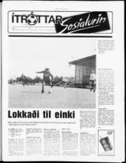 Síða 7