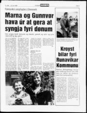 Síða 3