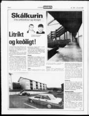 Síða 6