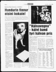 Síða 8