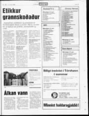 Síða 15