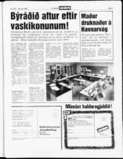 Síða 3