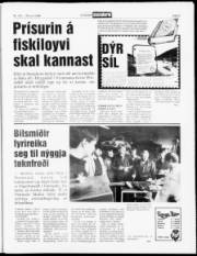 Síða 5
