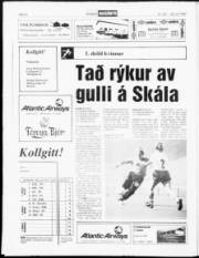 Síða 12