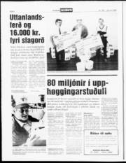 Síða 6