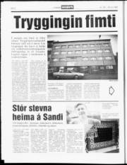 Síða 6