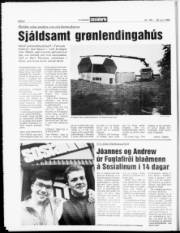 Síða 8