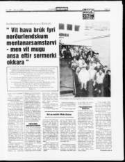Síða 13