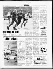 Síða 13