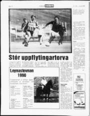 Síða 14
