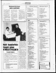 Síða 23