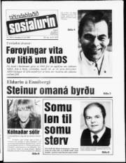 Síða 1