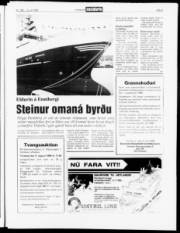 Síða 3