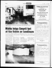 Síða 6