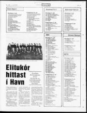 Síða 19