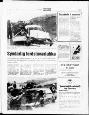 Síða 3