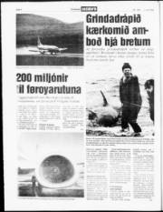 Síða 4