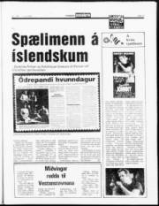 Síða 11