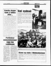 Síða 13