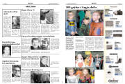 Síða 8