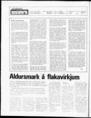 Síða 2