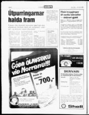 Síða 4