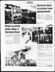 Síða 6