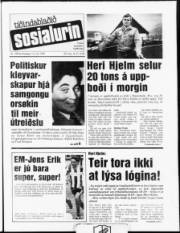 Síða 1