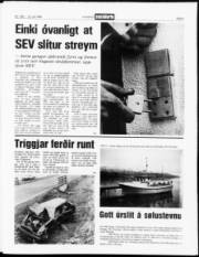 Síða 3