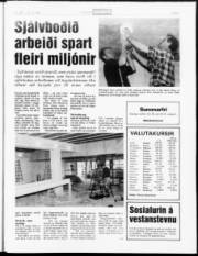 Síða 5