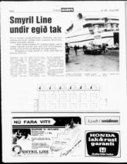 Síða 8