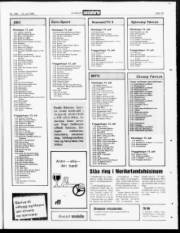 Síða 19