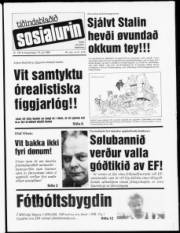 Síða 1
