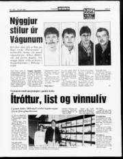 Síða 13