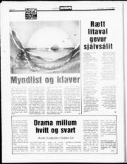 Síða 14