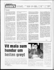 Síða 2
