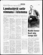 Síða 3