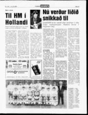 Síða 13
