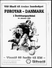 Síða 17