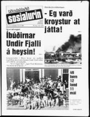 Síða 1