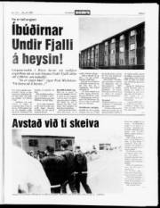 Síða 3