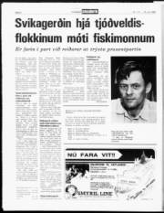 Síða 8