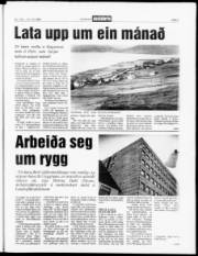 Síða 3