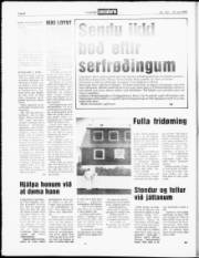 Síða 8