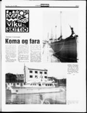 Síða 9