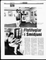 Síða 12
