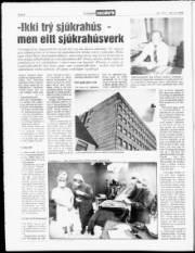 Síða 4